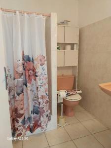uma casa de banho com um WC e uma cortina de chuveiro em CHEZ ISABELLE em Luri