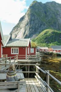 a person sitting on a bench in front of a mountain at Reine Rorbuer - by Classic Norway Hotels in Reine