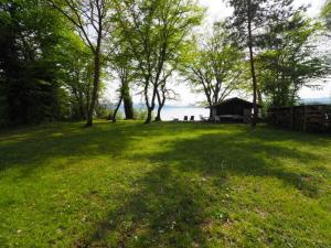 ein großes Grasfeld mit Bäumen und einem Haus in der Unterkunft Häuschen direkt am See in Reichenau