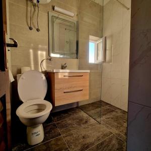 a bathroom with a toilet and a sink and a mirror at Apartmani Katarina in Biograd na Moru