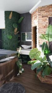 baño con lavabo, espejo y plantas en Sunset en Six-Fours-les-Plages