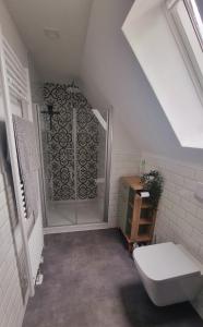uma casa de banho com um chuveiro e um WC. em Haus Erdmann em Dahn
