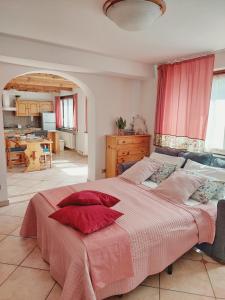 a bedroom with a large bed with red pillows at Casa Pepolina, zona tranquilla, piano terra con parcheggio in Malesco