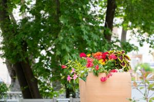 a wooden planter with flowers in it at Medusa Luxury Apartments in Néa Péramos