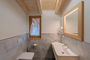 a bathroom with a sink and a toilet and a mirror at Eco-Green Fiores Agriturismo in Vigo di Fassa