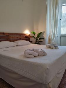 Fotografia z galérie ubytovania Loft 36 v destinácii Carovigno