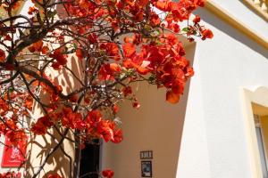 Fotografia z galérie ubytovania Villa la Giralda v destinácii Denia