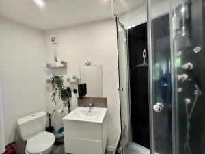 a bathroom with a toilet and a sink and a shower at STUDIO Av MARX DORMOY CLERMONT CENTRE B in Clermont-Ferrand