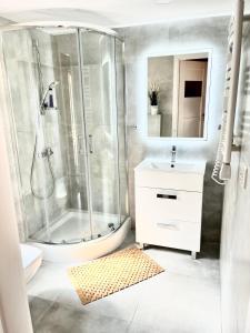 y baño con ducha y lavamanos. en Domek letniskowy Sport&Relax, en Kopalino