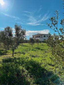 a field of grass with a building in the background at Dar Sakina with Private Pool in Oulad Zenati