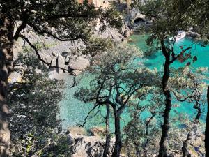 a view of a body of water with trees at Casa dell'Arco Civico 35 in San Fruttuoso