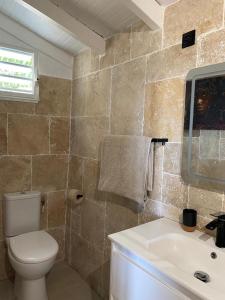 a bathroom with a toilet and a sink at Blue dream Bungalow in Le Gosier +2 photos