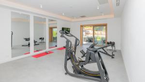 Fitness centrum a/nebo fitness zařízení v ubytování Modern and luxurious villa with swimming pool in Zmijavci