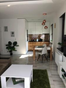 Η κουζίνα ή μικρή κουζίνα στο Solankowe Zacisze Botanica Inowrocław