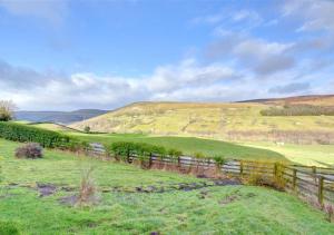 a fence in the middle of a green field at Oxnop Cottage in Gunnerside