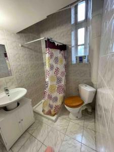 łazienka z toaletą i zasłoną prysznicową w obiekcie Chez dada w Grenoble