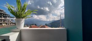 a plant in a white vase sitting on a ledge at Monshing Homestay - Elevate your travel experience in Bomdila