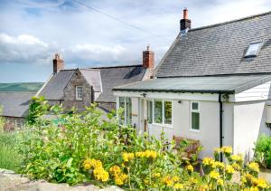 a white cottage with yellow flowers in front of it at Braeside in Wooler