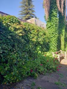 Photo de la galerie de l'établissement Gran Hotel Concordia, à Salto