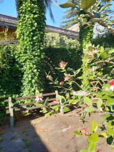 Photo de la galerie de l'établissement Gran Hotel Concordia, à Salto