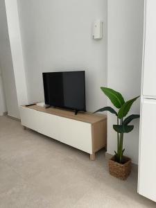 einen Flachbild-TV auf einem weißen Schrank mit einer Topfpflanze in der Unterkunft MN Homes Fonseca B in Málaga