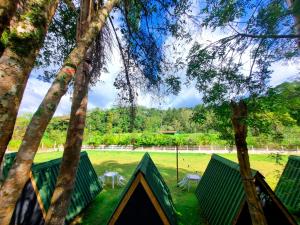 uma tenda na floresta com um campo e árvores em FamilyCamp hospedagem perto do Magic City em Suzano
