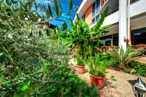 Zahrada ubytování Copacabana Hotel