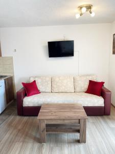 Villa Sapkar Lake View في أوخريد: غرفة معيشة مع أريكة مع وسادتين حمراء