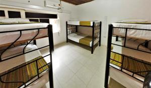 Zimmer mit 3 Etagenbetten in einem Zimmer in der Unterkunft Backpackers And Travellers Hostel in Neiva