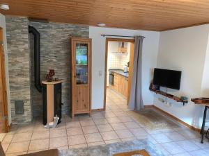 a living room with a television and a kitchen at Ferienwohnung Eisbach Lamas in Wadern