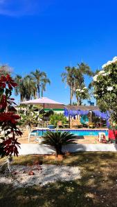 un complejo con piscina y palmeras en Chalés e Camping Bela Vista, en Pirenópolis