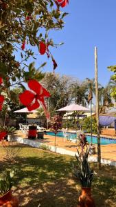 un complejo con piscina y complejo en Chalés e Camping Bela Vista, en Pirenópolis
