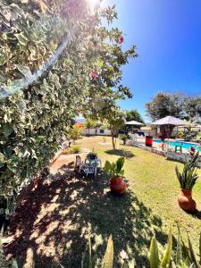 un patio con sillas, un árbol y una piscina en Chalés e Camping Bela Vista, en Pirenópolis