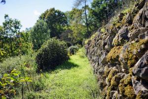 En have udenfor D'Hestia - Gîte avec vue imprenable sur Huy