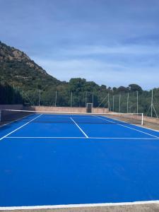 a blue tennis court with mountains in the background at Residence "U LATONU" in Porto-Vecchio