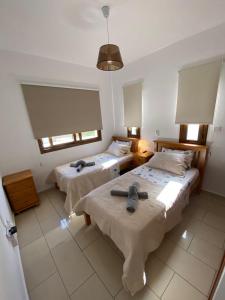Cette chambre comprend 2 lits et 2 fenêtres. dans l'établissement Villa Angel - Exotic Villa 200m From Beach, à Paralímni