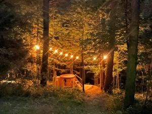 a table and lights in a forest at night at Loblolly Pines Adventure Aframe #1 in Eureka Springs