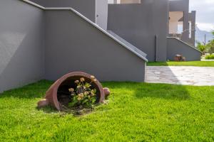 a plant in a wheel in the grass next to a house at Lafo Rooms in Elafonisi