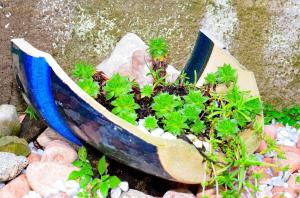 a planter with plants in it sitting on rocks at Il Rustico 2 in Castel San Pietro