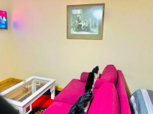 TV a/nebo společenská místnost v ubytování Affordable Guest House at Great Choice guest Houses