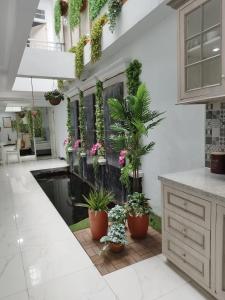 a kitchen with potted plants and a pond at Nest Residence in Jakarta
