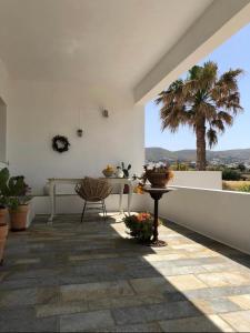a patio with a table and a palm tree at FYKIA HOUSE in Naousa