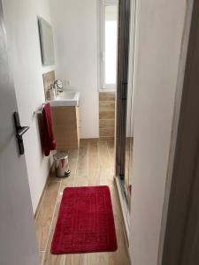 a bathroom with a red rug on the floor at Studio lumineux de 35m2 au cœur de Solesmes in Solesmes