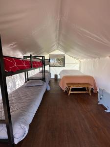 a bedroom with two bunk beds in a tent at Moraycamp in San Andrés de Giles