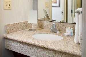a bathroom counter with a sink and a mirror at Courtyard by Marriott Richmond Airport in Sandston