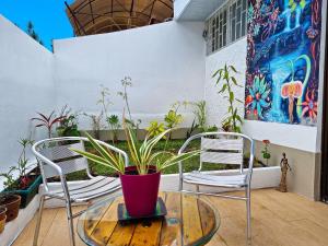 two chairs and a table with a potted plant on a patio at 714 Studios in San José