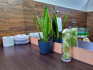 two plants in vases on a counter in a bathroom at 714 Studios in San José