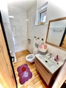 a bathroom with a sink and a toilet and a mirror at Salaš kod Bobana in Bač