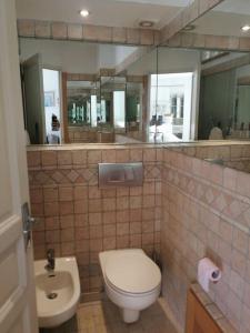 een badkamer met een toilet, een wastafel en een spiegel bij Open space with sea view close to the Croisette in Cannes