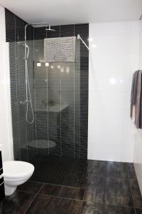 een badkamer met een glazen douche en een toilet bij Apartamento Esquilo - Casas Barca do Rio - Geres in Geres